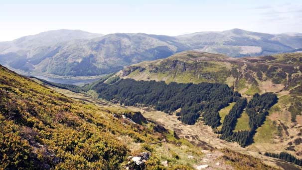 Ben Each