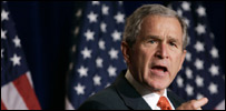 bush_203.jpg