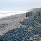 On Newcastle beach, where GP witnessed the ceremony on the day