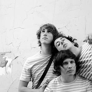 The-Wombats