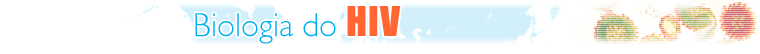 BBC Brasil | Especial | Convivendo com a Aids | Biologia do HIV