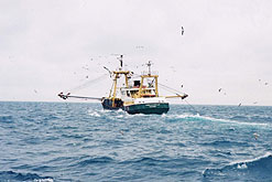 Fishing