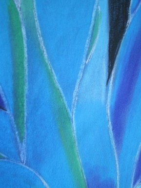 Conti crayon leaf