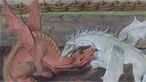 Red dragon and white dragon