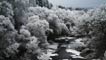 snow filled landscape of forest and river