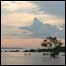 Amazônia 