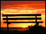 Park bench...night draws on...