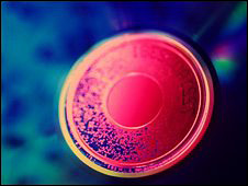 Optical disc