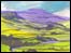 NY Artists: Peter Kearney
