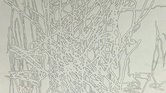 Italian Lines... Italian Lines...