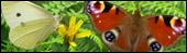 Nature and wildlife features across Shropshire