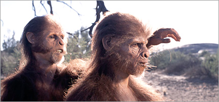 Homo habilis