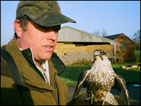 Glyn Harris