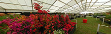 Spring Gardening Show 2006