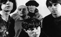 The Inspiral Carpets The Inspiral Carpets