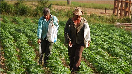 sp_campesinos_cuba_430.jpg