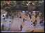 Derby's Ice Rink