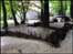 Trenches at Sanctuary Wood, Ypres, Belgium