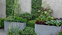 The Children's Society Garden