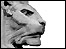 Stone lion in Old Market Square