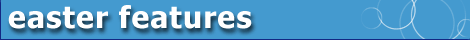 mini banner