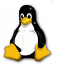 ashley_tux.png