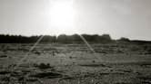 Lonely Sun Set...