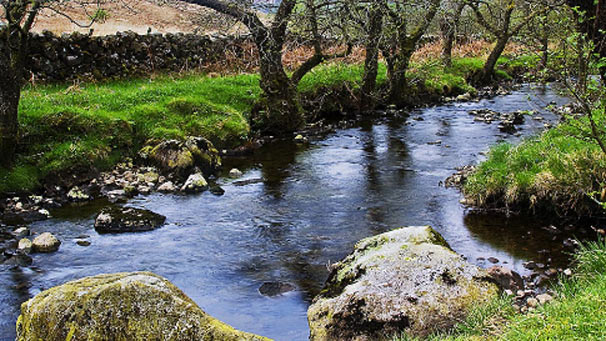 Water of Trool