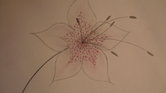 Flower Flower