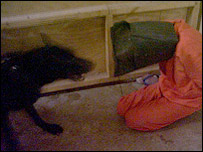 Preso iraquiano ameaçado por cachorro em Abu Ghraib