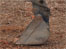 mechanical spade