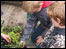 Planting seeds