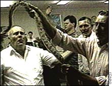 snake.handling.jpg