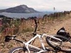 Mountain bike. Image copyright Terrid.