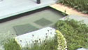 The Daily Telegraph Garden