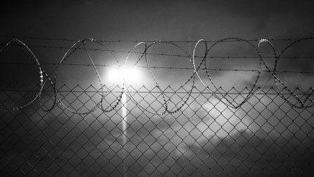 Barbed wire