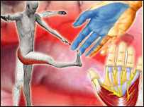 دلاس اوپښې وديديدل