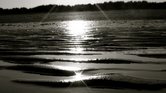 Summer Beach... Summer Beach...