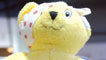 Pudsey bear