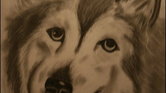 Dog Dog