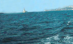 Sea