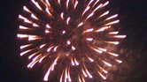 Night firework... Night firework...