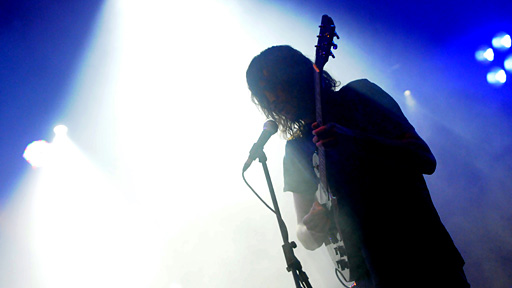 Foals