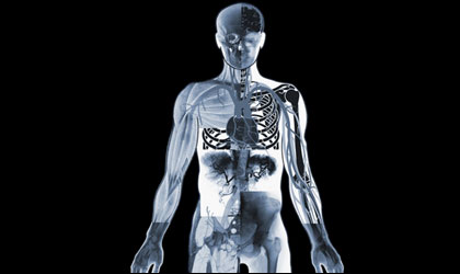 renal02.jpg