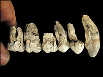 Dentes encontrados na Etiópia