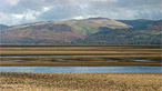 Ynys Hir Reserve