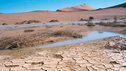 Parched desert