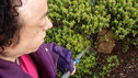 Liz finds cache in a bush