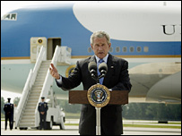 bush