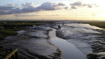 Stone Creek, Sunk Island